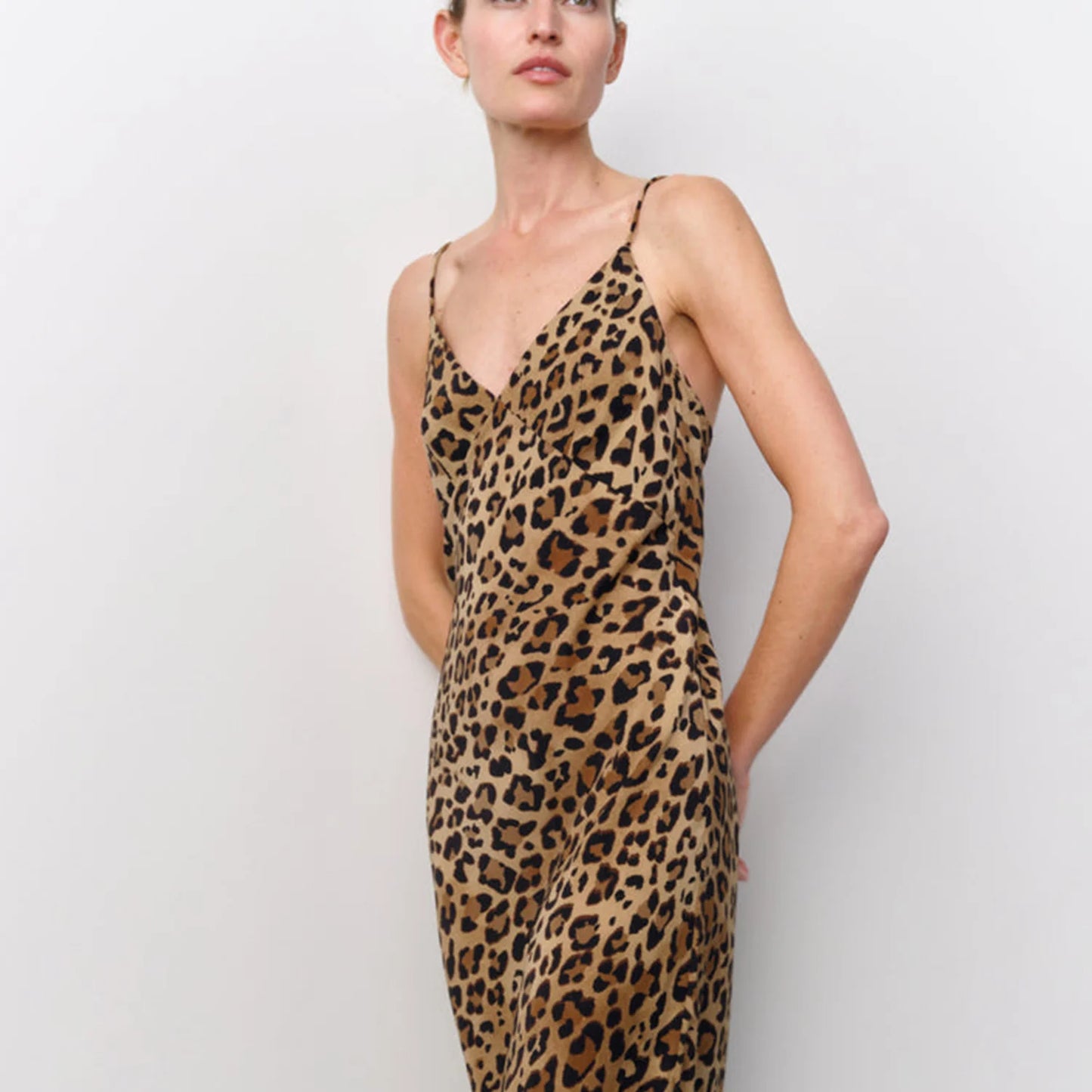 Animal Print Midi Dress